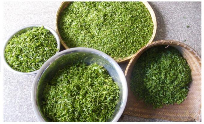 Organiczna palona zielona herbata, 150g Palona zielona herbata do odchudzania, zdrowa zielona herbata odchudzająca