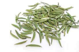 Wysokiej jakości ekologiczna zielona herbata zhuyeqing wczesną wiosną