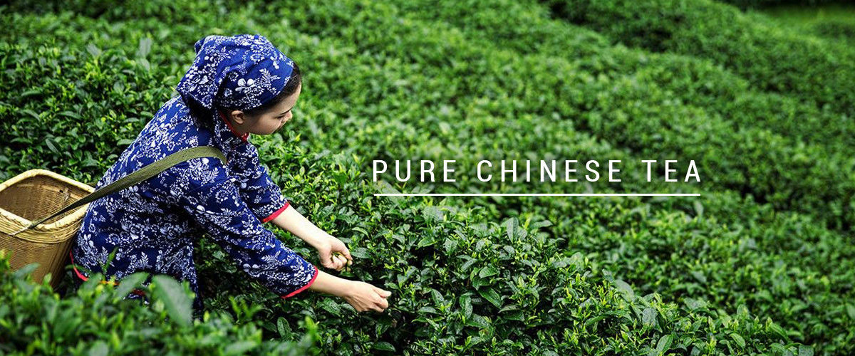 Chiny Najlepiej Organiczna herbata Oolong sprzedaży